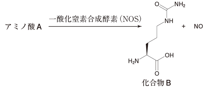 生体内における一酸化窒素の生成 第105回薬剤師国家試験問105